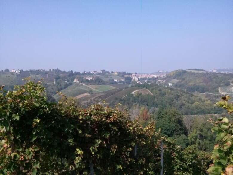 Poggio Rebasti Montescano