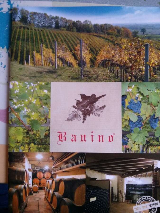 Brochure Azienda Agricola Antonio Panigada "Banino" Azienda Agricola Antonio Panigada "Banino"