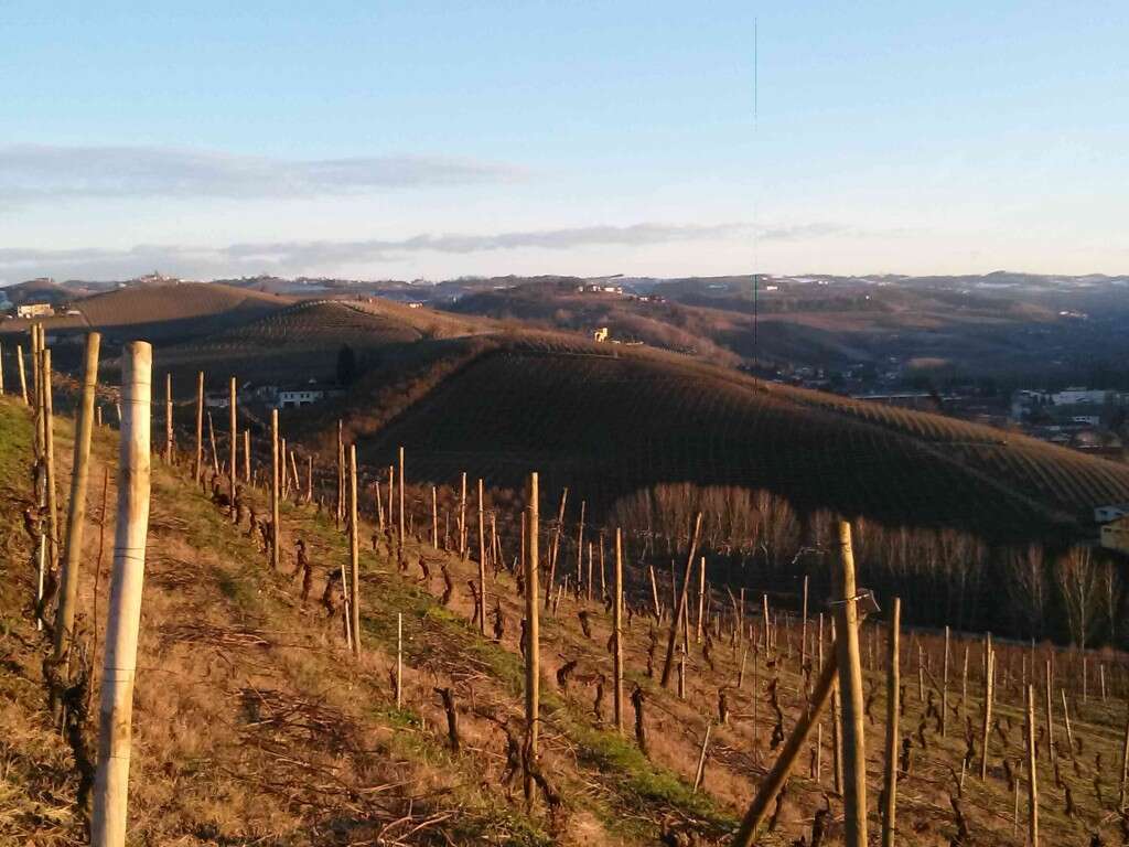 Panorama Vigneto Langhe da Grinzane Cavour
