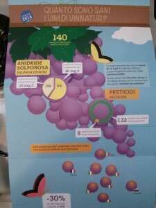 Quanto sono sani i vini di Vinnatur - 2015