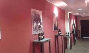 Cantine San Silvestro, foto e bottiglie - Novello Langhe