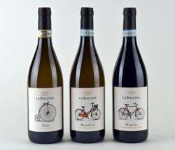 Linea Le Biciclette Cantine La Bollina