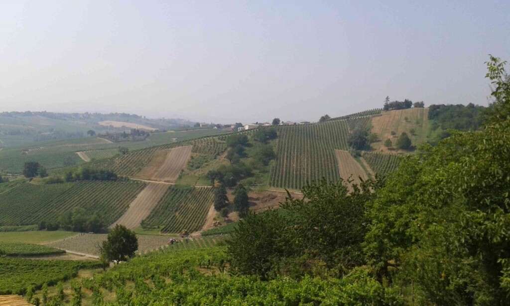 Panorama colline Oltrepò Pavese - Cantina Marco Vercesi Panorama colline Oltrepò Pavese - Cantina Marco Vercesi