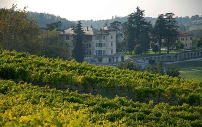 Tenuta La Bollina Gavi