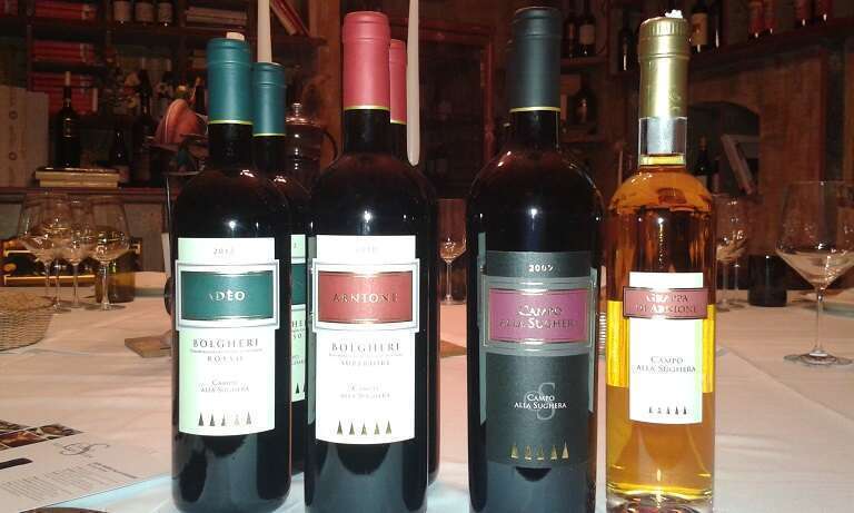 Degustazione Vini Campo Alla Sughera Bolgheri DOC
