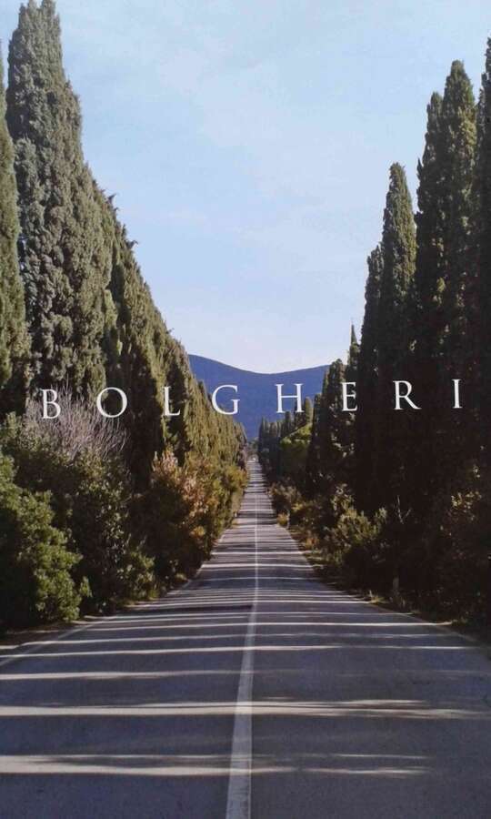 I Cipressi di Bolgheri