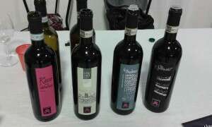 I Vini di Cantina Marsetti - ViniTaste