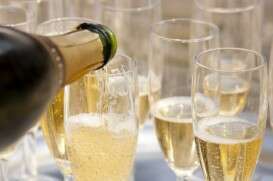Calici di Prosecco valdobbiadene docg
