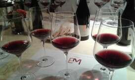 Degustazione Pinot Nero Edoardo Miroglio Wine Cellar