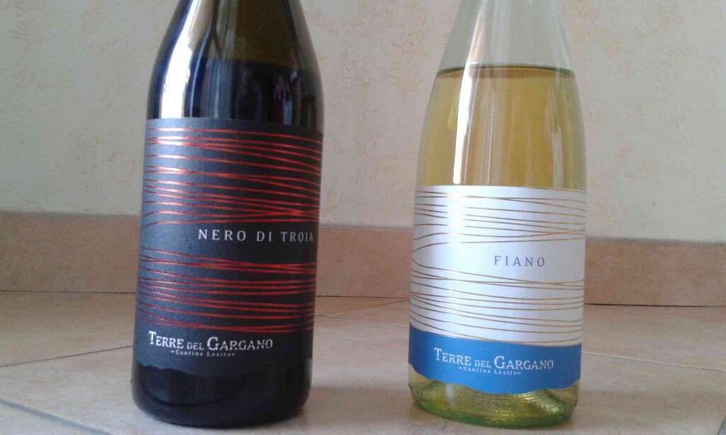 Degustazione Vini Cantine Losito Terre del Gargano