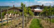 Calatroni - Agriturismo Dei Cherubini