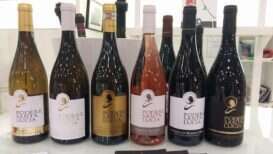 ere Santa Lucia - Lacrima di Morro D Alba e Vini Marchigiani Tipici