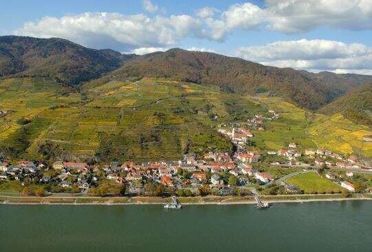 Wachau - Kamptal DAC - Riesling austriaco Wachau - Kamptal DAC - Riesling austriaco