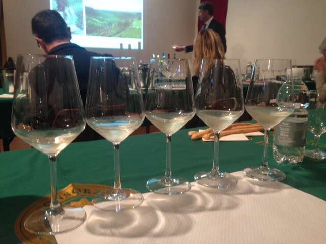 Degustazione Tasting Gavi - Gavi DOCG 2015 Degustazione Tasting Gavi - Gavi DOCG 2015