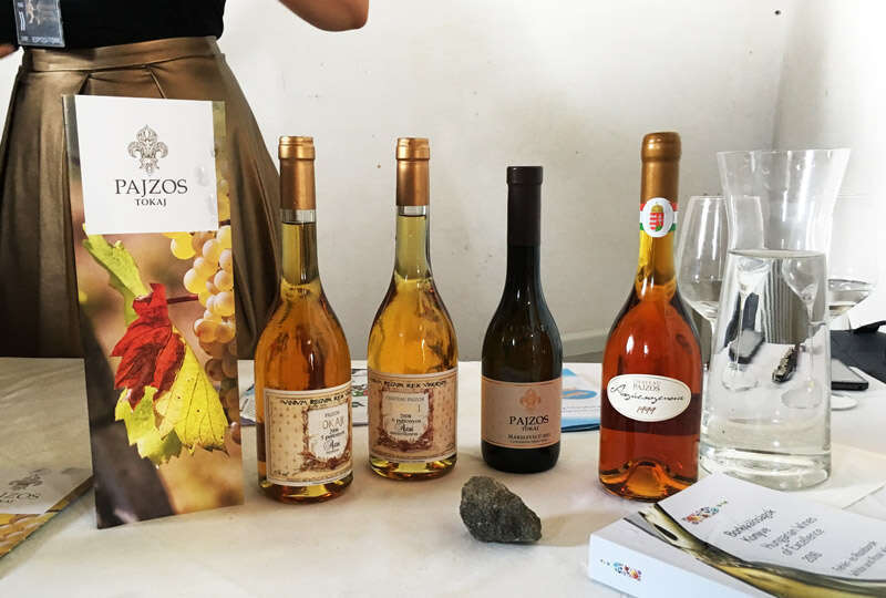 Tokaji di Pajzos - Grande Festa del Vino Tokaji di Pajzos - Grande Festa del Vino