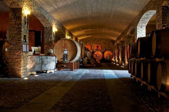 Tenuta Cucco - Barrique e Botti di Legno