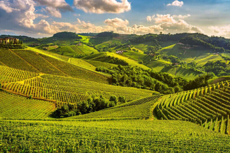 Grandi Langhe 2020 - Panorama Langhe
