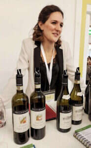 Selezione Vini Cantina Pecchenino Selezione Vini Cantina Pecchenino