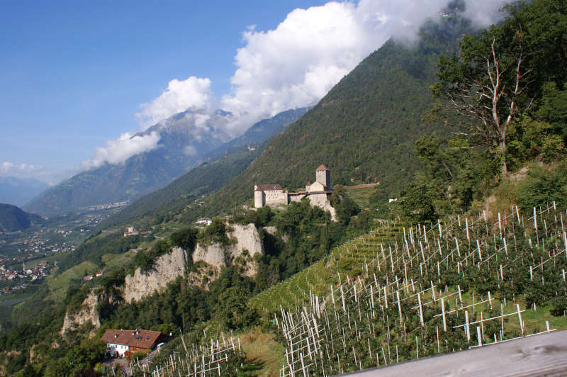 Vigneti in Val Venosta