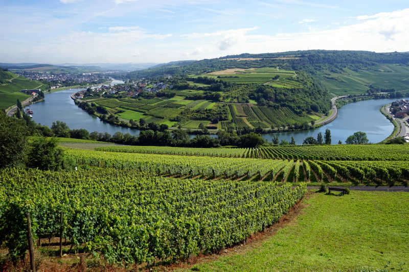Vista Valle della Mosella in Germania