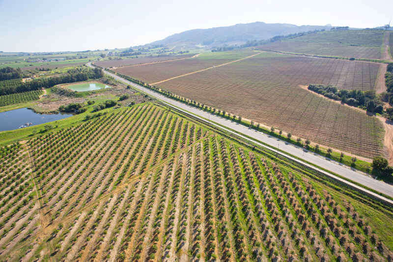 Foto aerea dei vigneti di Paarl