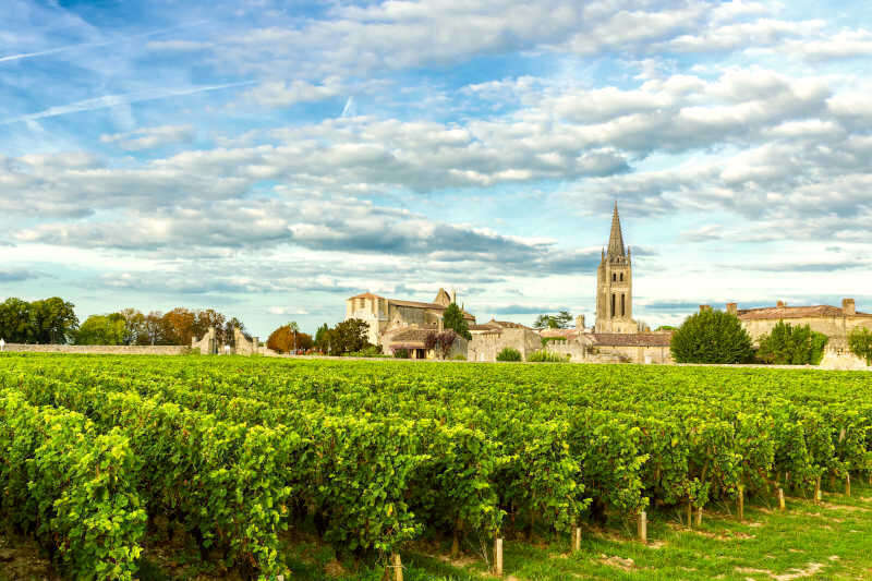 Vigneti di Saint Emilion Vigneti di Saint Emilion