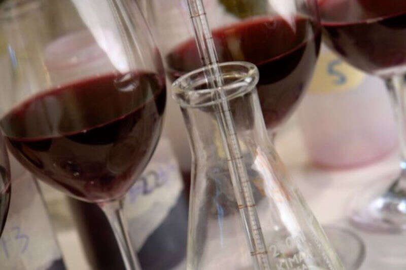 Analisi del Brettanomyces nel Vino