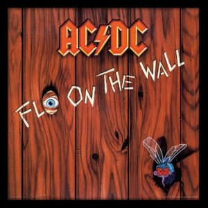 Fly on the Wall Fly on the Wall