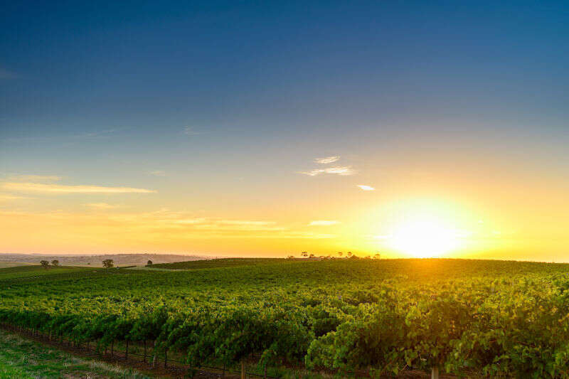 Barossa Valley Australia Barossa Valley Australia