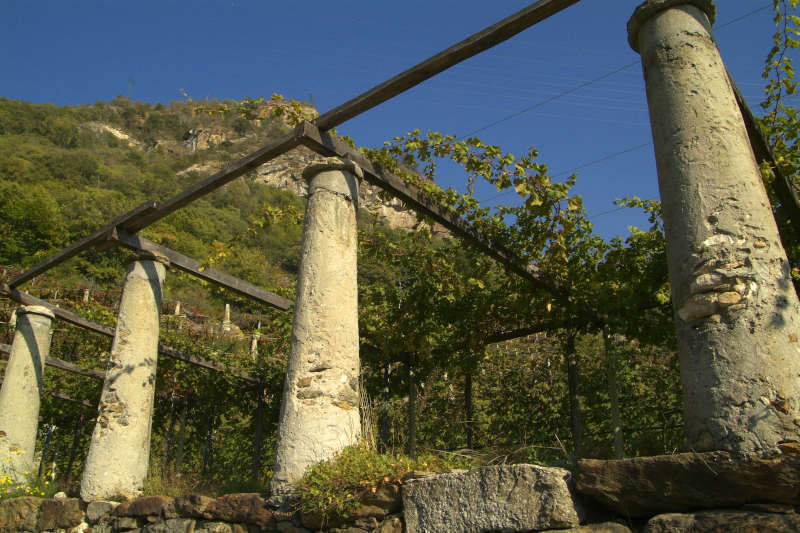 Vigneti del Canavese - vicino al piccolo villaggio di Cesnola