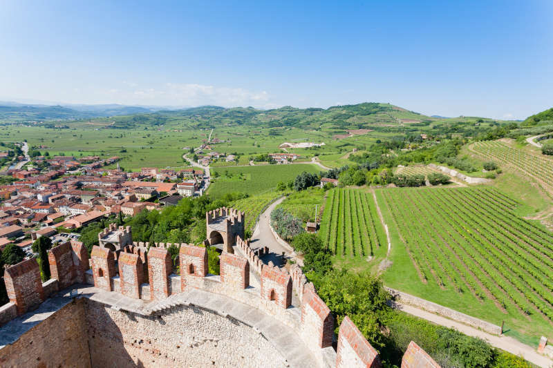 Panoramica Vigneti da Castello di Soave Panoramica Vigneti da Castello di Soave