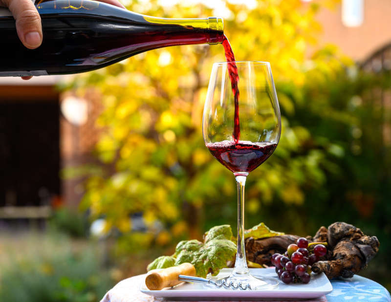 Degustazione Vino Novello