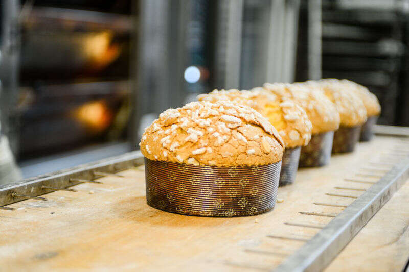 Panettoni pronti da incartare Panettoni pronti da incartare