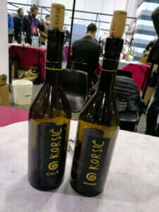 Vini Korsic Vini Korsic
