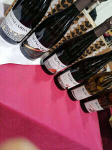 Vini Mongarda Vini Mongarda