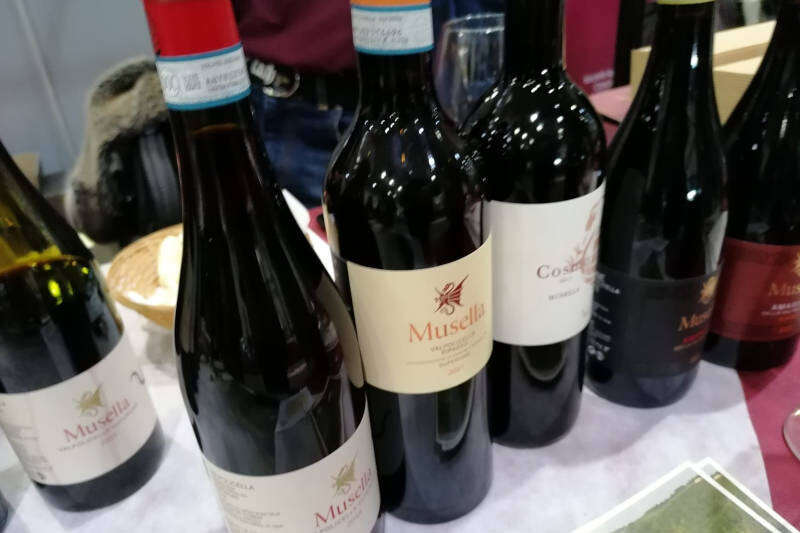 Degustazione Vini Musella a Fivi 2021 Degustazione Vini Musella a Fivi 2021